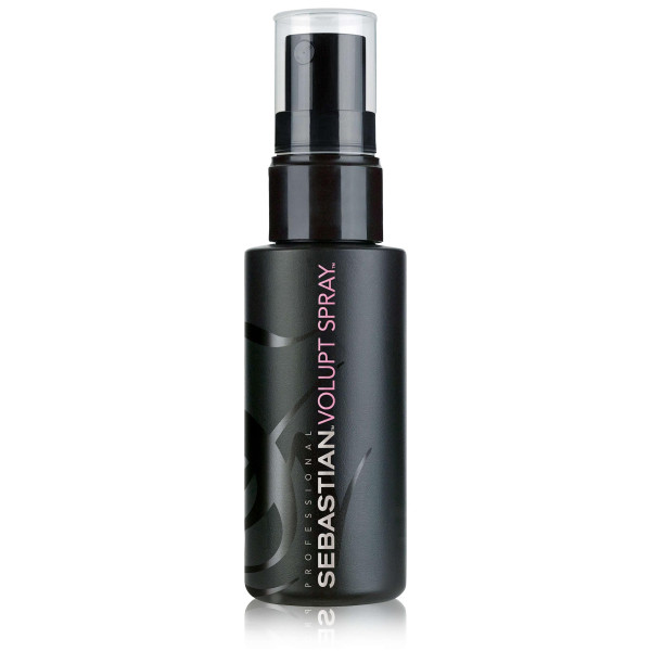 sebastian hair products