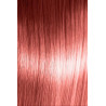 Generieke oxidatiekleuring BBHair Plex 100 ML (Op nummer)