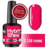 Mini Verniz Semi-Permanente Hybrid Shine Mollon Pro 8ml