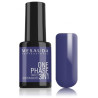GELNAGELLAK IN ÉÉN FASE 5 ml per kleur
