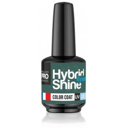 Mini Vernis Semi-Permanent Hybrid Shine Mollon Pro 8ml