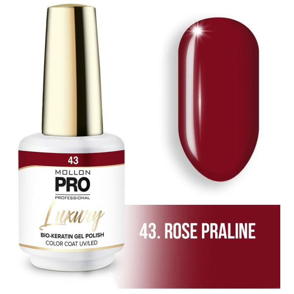 Luxury semi-permanent nail polish N°43 Praline Rose by Mollon Pro - 8ML
