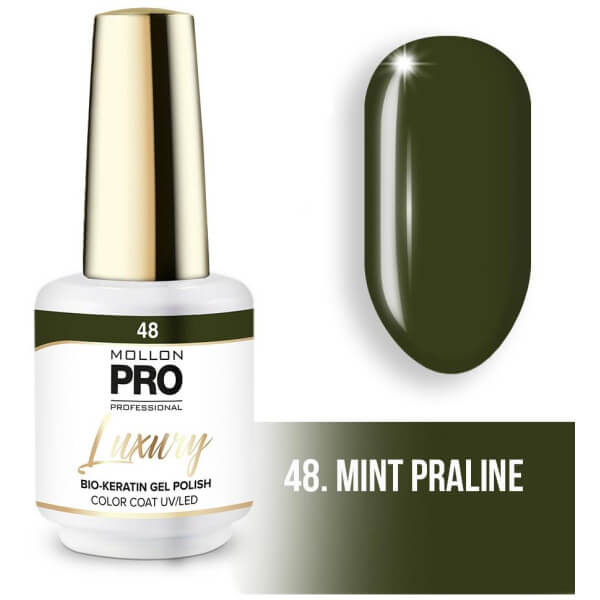 Verniz semi-permanente LUXURY N°48 Praline menta Mollon Pro - 8ML Verniz semi-permanente LUXURY N°48 Praline menta Mollon Pro - 8ML