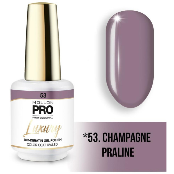 Luxury semi-permanent nail polish N°53 Champagne praliné by Mollon Pro - 8ML