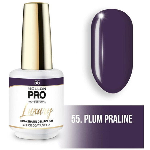 Luxury semi-permanent nail polish N°55 Praline pralinée Mollon Pro - 8ML