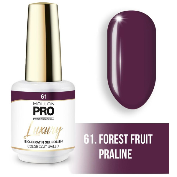 Luxury semi-permanent nail polish N°61 Berry Praline Mollon Pro - 8ML