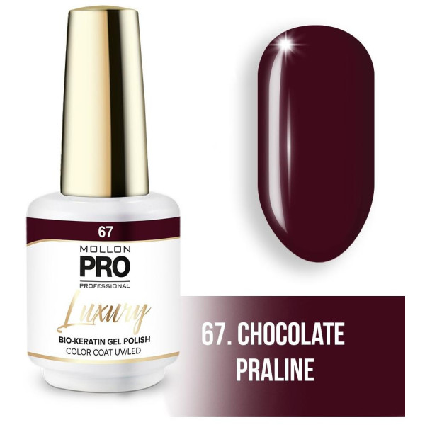 Luxury semi-permanent nail polish N°67 Praline Chocolate by Mollon Pro - 8ML