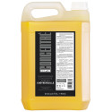 Shampooing concentré au chevrefeuille Ducastel 5L
