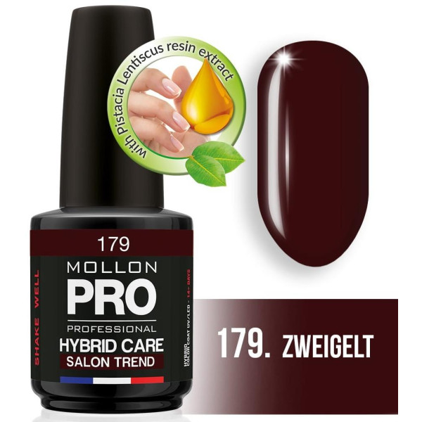 Vernis Semi-Permanent Hybrid Shine Mollon Pro 12ML Zweigelt - 179 Vernis Semi-Permanent Hybrid Shine Mollon Pro 12ML Zweigelt - 179