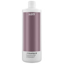 Fixateur Subtil Fix 1000 ML