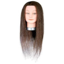 Cabeza femenina de aprendizaje 35