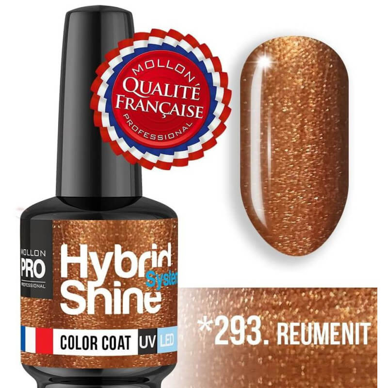 Mini Nagellak Semi-Permanent Hybrid Shine Mollon Pro 8ml N°293.jpg