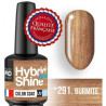 Mini barniz híbrido semipermanente Shine Mollon Pro 8ml colección navideña (por color)