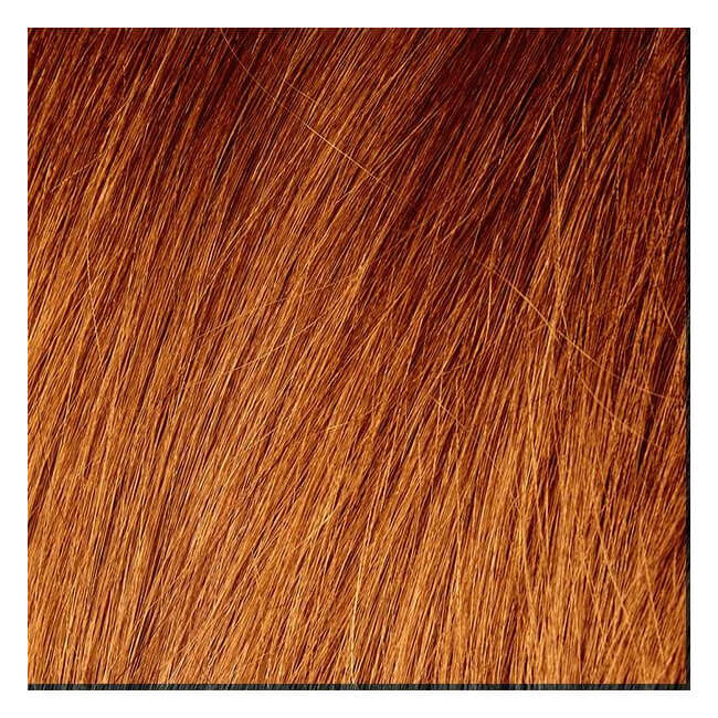 Generérik coloring Without Almonia N ° 7.43 Golden Copper Blond 100 ML Generérik coloring Without Almonia N ° 7.43 Golden Copper Blond 100 ML