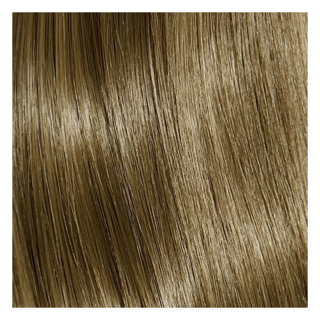 Generieke oxidatiekleuring BBHair Plex 8.3 lichtblond goud 100 ML