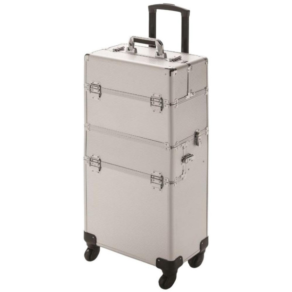 Expert Silver Line suitcase