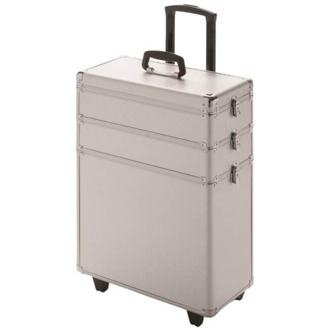 Space Silver line suitcase