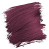 Semi-permanente haarkleuring CRAZY COLOR 100ML (per kleur)