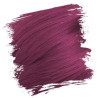Semi-permanente haarkleuring CRAZY COLOR 100ML (per kleur)