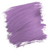 Semipermanente Färbung CRAZY COLOR 100ML (nach Farbe)
