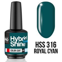 Mini Vernis Semi-Permanent Hybrid Shine Mollon Pro 8ml 