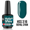 Mini Vernis Semi-Permanent Hybrid Shine Mollon Pro 8ml 