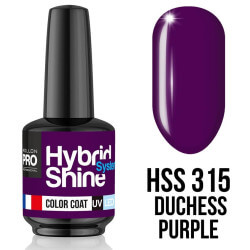 Mini Vernis Semi-Permanent Hybrid Shine Mollon Pro (Par Couleur)