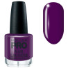 Classic Varnish 15 ml Mollon Pro (by color)