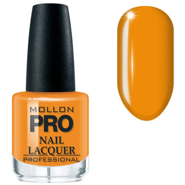 Verniz clássico nº316 Purist Shock MOLLON PRO 15ML Verniz clássico nº316 Purist Shock MOLLON PRO 15ML