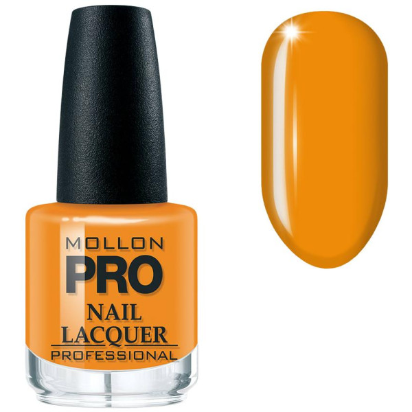 Klassischer Lack Nr. 316 Purist Shock MOLLON PRO 15ML Klassischer Lack Nr. 316 Purist Shock MOLLON PRO 15ML