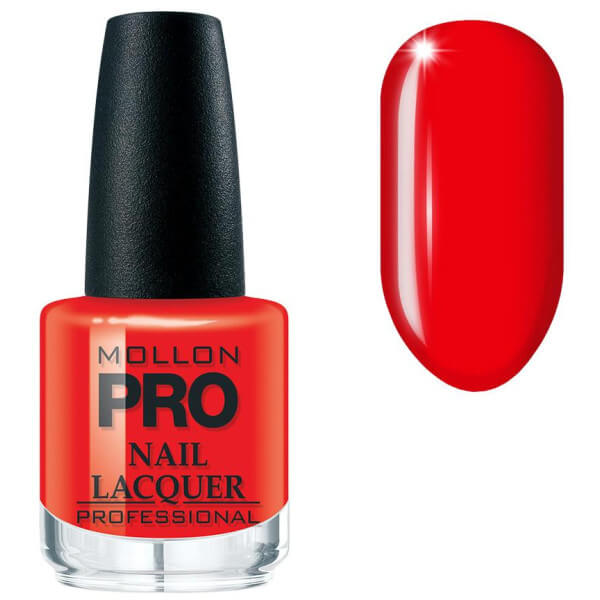 Klassieke nagellak nr. 317 Feminine Law MOLLON PRO 15ML