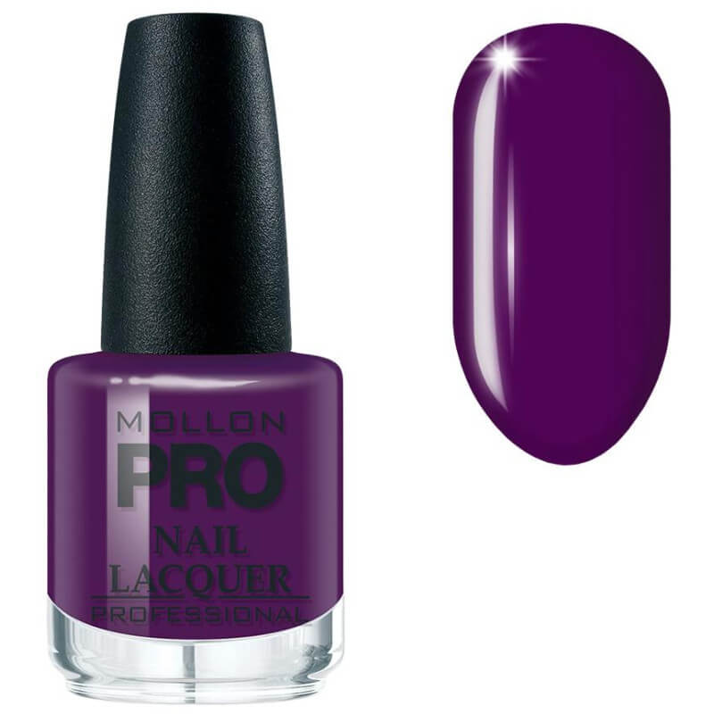 Verniz clássico nº319 Duchess Purple MOLLON PRO 15ML