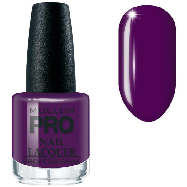 Vernis classique n°319 Duchess purple MOLLON PRO 15ML Vernis classique n°319 Duchess purple MOLLON PRO 15ML