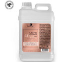 Crème oxydante 40V Gyptis Fauvert Professionnel 3L