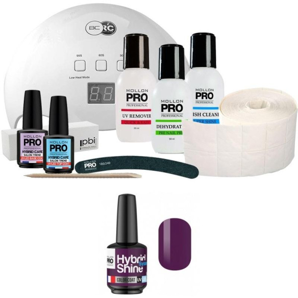 Pack Mollon + Lampe 48 Watt Mini Semi-Permanent Lack Hybrid Shine Mollon Pro 8ml Pflaume 2/08 Pack Mollon + Lampe 48 Watt Mini Semi-Permanent Lack Hybrid Shine Mollon Pro 8ml Pflaume 2/08