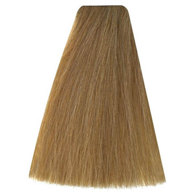 Kleuring Art 10/2 Zeer licht beige blond 100ML