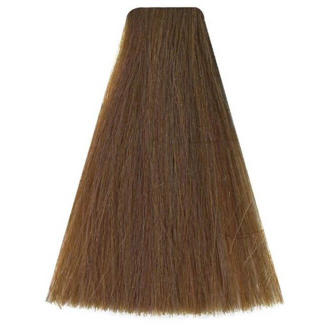 Coloração Art 8/2 Bege Intenso 100ML