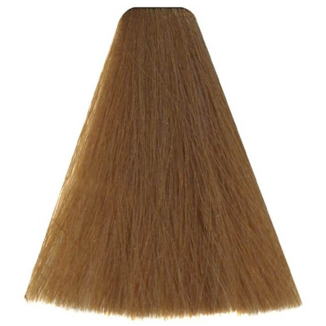 Kleuring Kunst 8/3 Blond Goudkleurig 100ML