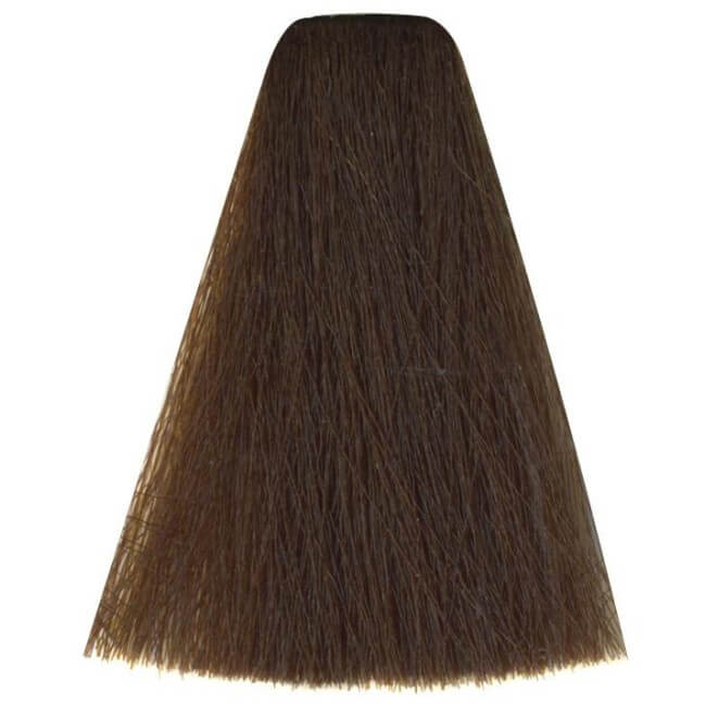 Kleuring Kunst 6/3 Donkerblond Goud 100ML