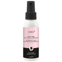 Spray désinfectant pour outils et brosses Sibel 100ML