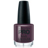 Collectie Pure Beauty klassieke nagellak