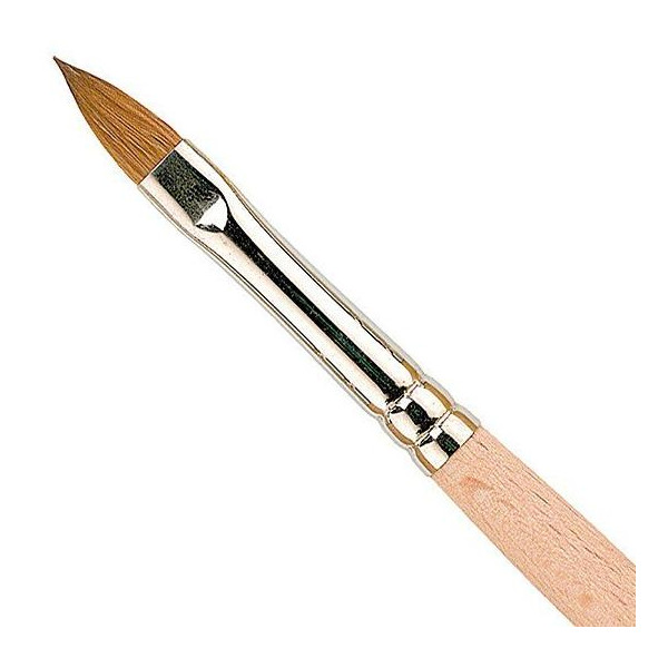 Paintbrush Golden Oval Peggy sage 141004 Paintbrush Golden Oval Peggy sage 141004