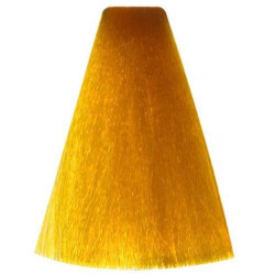 Kleurtint Vitality's 100ML (per kleur)