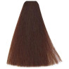 Kleuring Art Vitality's (per kleur)