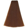 Kleuring Art Vitality's (per kleur)