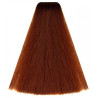 Kleuring Art Vitality's (per kleur)