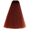 Kleuring Art Vitality's (per kleur)