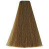 Kleuring Art Vitality's (per kleur)