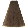 Kleuring Art Vitality's (per kleur)