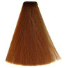 Kleuring Art Vitality's (per kleur)